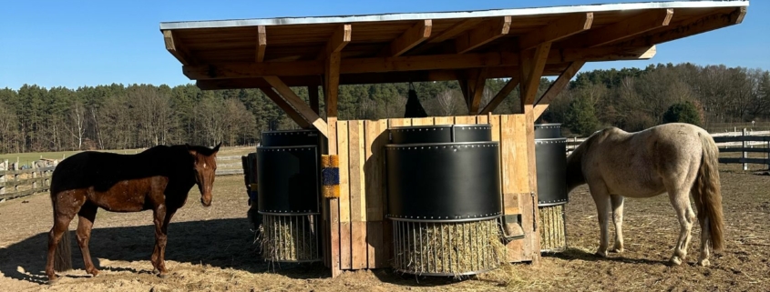 Pferde entspannen beim fressen. Die Pferde im Offenstall mit zeitgesteuerten Heuraufen und optimaler Offenstallhaltung. Pferde in Gruppenhaltung fressen entspannt an der runden Powerraufe aus Edelstahl, sichere und hochwertige Heuraufe Made in Germany