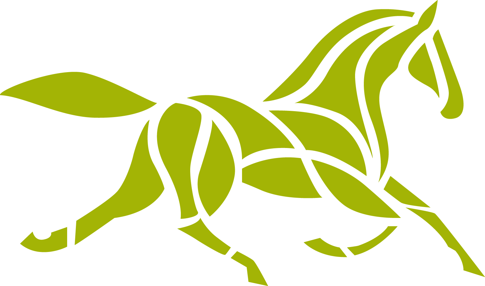 ein entspanntes Pferd